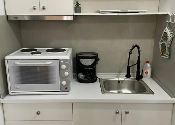 公寓 Deos Thassos 帕纳基雅