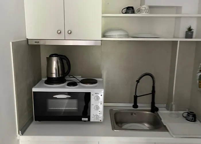 公寓 Deos Thassos 帕纳基雅